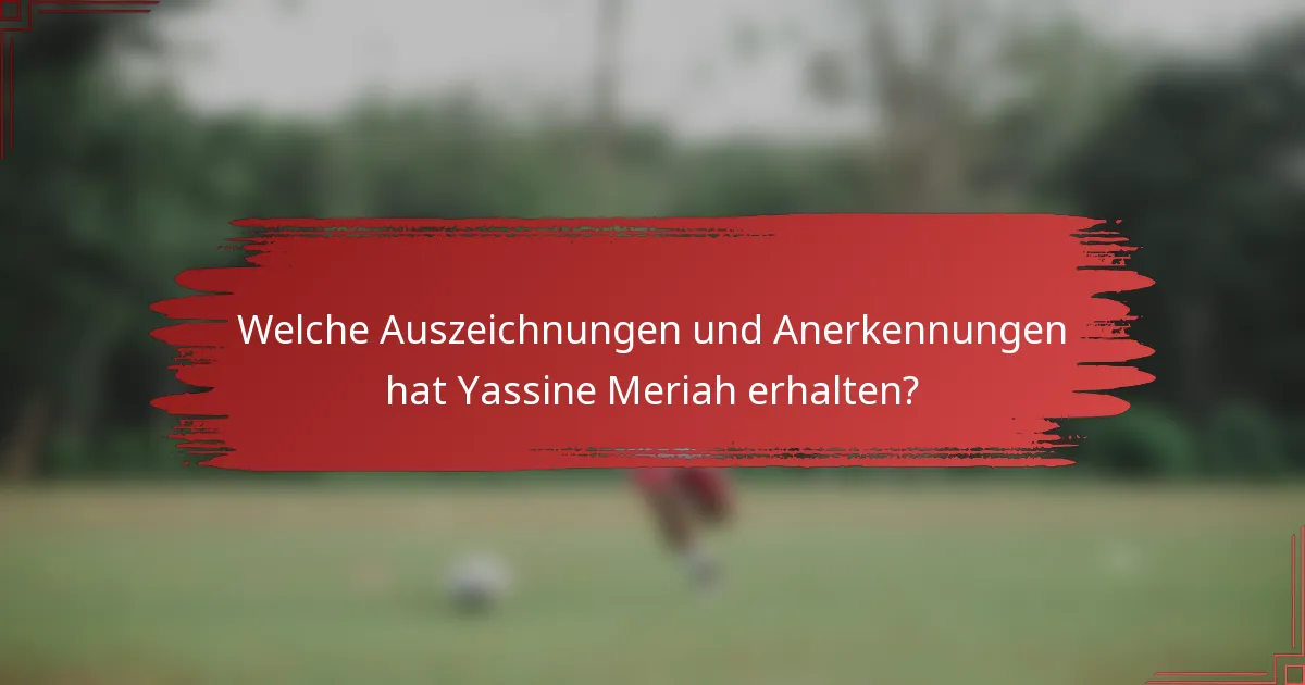 Welche Auszeichnungen und Anerkennungen hat Yassine Meriah erhalten?