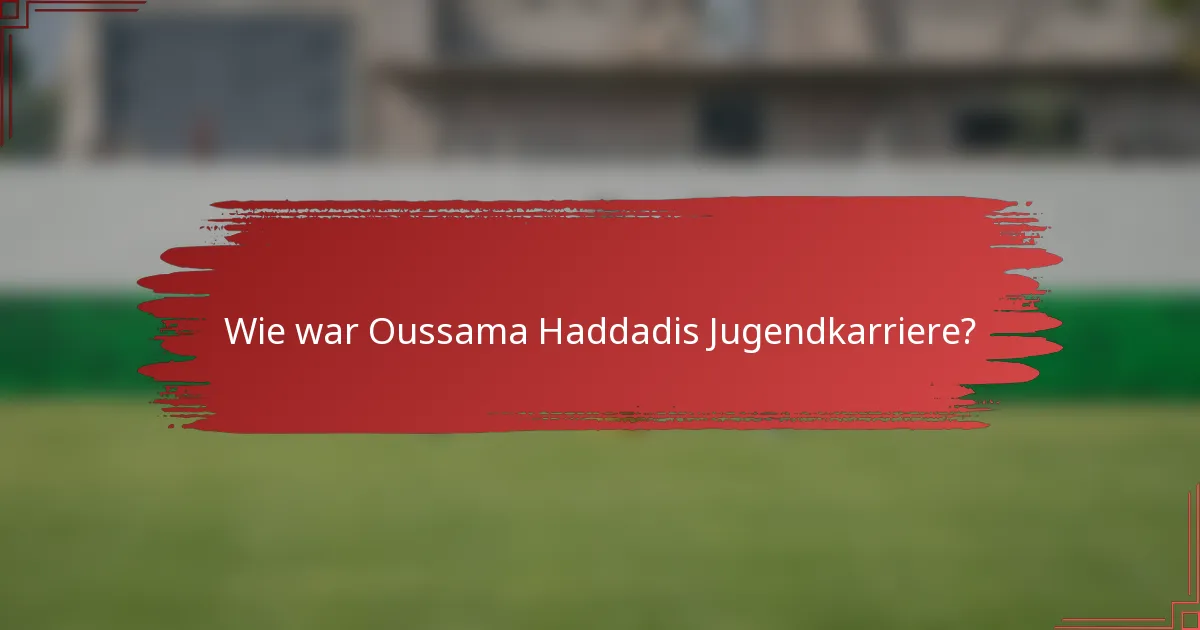 Wie war Oussama Haddadis Jugendkarriere?